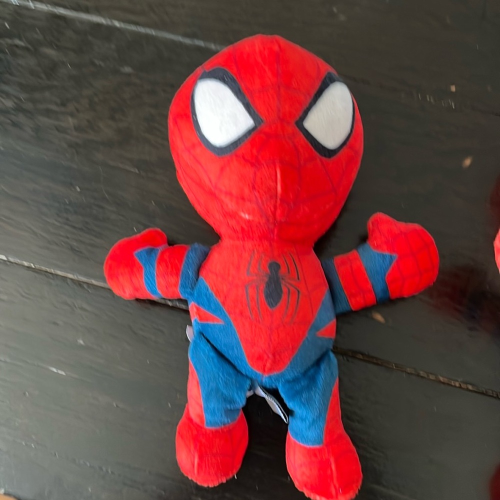 Marvel Spider-Man spiderman (8inx6in) NWT
Only stuffed spiderman
